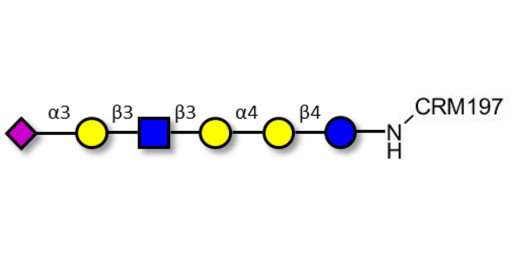 Stage-Specific Embryonic Antigen-4 (SSEA-4) hexaose analogue type 1 grafted on CRM197 - SSEA-4 hexaose analogue type 1