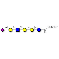 Stage-Specific Embryonic Antigen-4 (SSEA-4) hexaose analogue type 2 grafted on CRM197