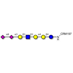 Sialylated Stage-Specific Embryonic Antigen-4 (SSEA-4) hexaose analogue type 1 grafted on CRM197