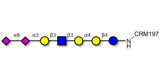 Sialylated Stage-Specific Embryonic Antigen-4 (SSEA-4) hexaose analogue type 1 grafted on CRM197 - Sialylated-SSEA-4 hexaose analogue type 1