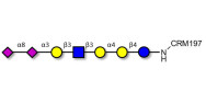 Sialylated Stage-Specific...