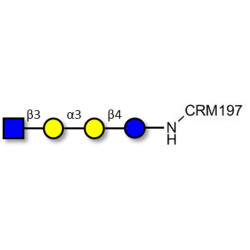 Isoglobotetraose (iGb4) analogue grafted on CRM197