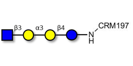 Isoglobotetraose (iGb4) analogue grafted on CRM197 - iGb4 analogue