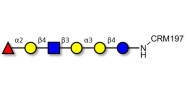 Isoglobo-H analogue type 2...