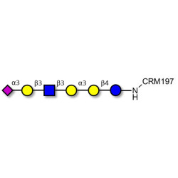 Sialylated isoglobopentaose (Sialylated iGb5) analogue type 1 grafted on CRM197