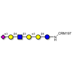 Sialylated isoglobopentaose (Sialylated iGb5) analogue type 2 grafted on CRM197