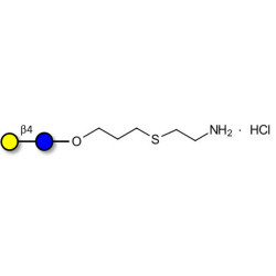 Lactose with free terminal amine (Linker-NH2 E)