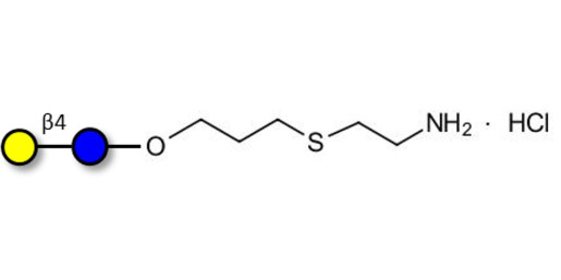 Lactose with free terminal amine (Linker-NH2 E)