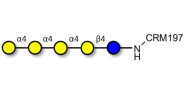 Galα1-4Galα1-4-Globotriose...