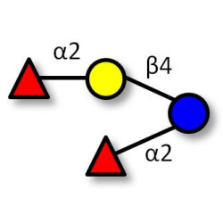 2',2-Difucosyllactose (>85% NMR)