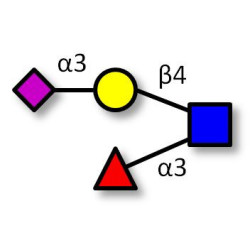 Sialyl Lewis x (sLex) tetraose (>85% NMR)