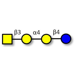 Globotetraose (Gb4)  (>85% NMR)