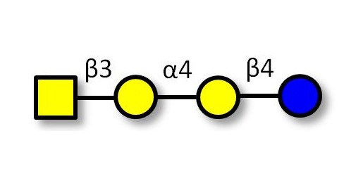 Globotetraose (Gb4)  (>85% NMR) - P antigen ; Globo-N-Tetraose ; GLY121-90%