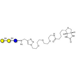 6'-Galactosyllactose (6'GL) linked to biotin (Linker-BT A)