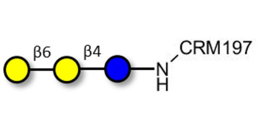 6'-Galactosyllactose (6'GL) grafted on CRM197
