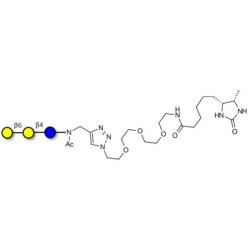 6'-Galactosyllactose (6'GL) linked to desthiobiotin (Linker-DBT-A)
