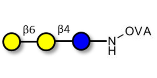 6'-Galactosyllactose (6'GL) grafted on OVA