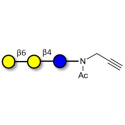 6'-Galactosyllactose (6'GL) with terminal alkyne (Linker-CΞCH A)