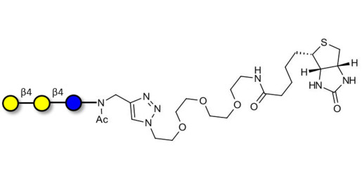 4'-Galactosyllactose (4'GL) linked to biotin (Linker-BT A)