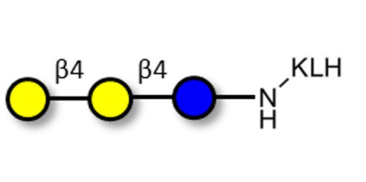 4'-Galactosyllactose (4'GL) grafted on KLH