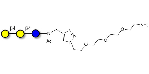 4'-Galactosyllactose (4'GL) with free terminal amine (Linker-NH2 B)