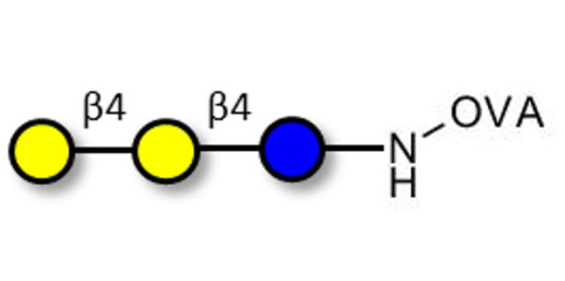 4'-Galactosyllactose (4'GL) grafted on OVA