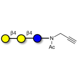 4'-Galactosyllactose (4'GL) with terminal alkyne (Linker-CΞCH A)