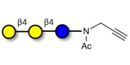 4'-Galactosyllactose (4'GL)...