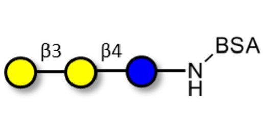 3'-Galactosyllactose (3'GL) grafted on BSA (Linker-BSA B)