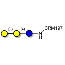 3'-Galactosyllactose (3'GL) grafted on CRM197