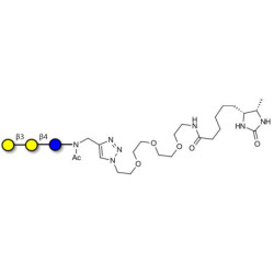 3'-Galactosyllactose (3'GL) linked to desthiobiotin (Linker-DBT-A)