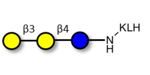 3'-Galactosyllactose (3'GL) grafted on KLH