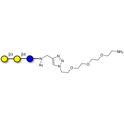 3'-Galactosyllactose (3'GL) with free terminal amine (Linker-NH2 B)