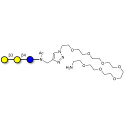 3'-Galactosyllactose (3'GL) with free terminal amine (Linker-NH2 C)
