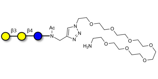 3'-Galactosyllactose (3'GL) with free terminal amine (Linker-NH2 C)