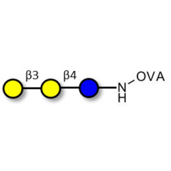 3'-Galactosyllactose (3'GL) grafted on OVA