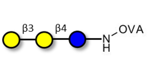 3'-Galactosyllactose (3'GL) grafted on OVA