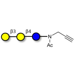 3'-Galactosyllactose (3'GL) with terminal alkyne (Linker-CΞCH A)