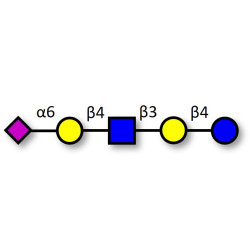 LS-Tetrasaccharide c (LSTc) (>90% NMR)