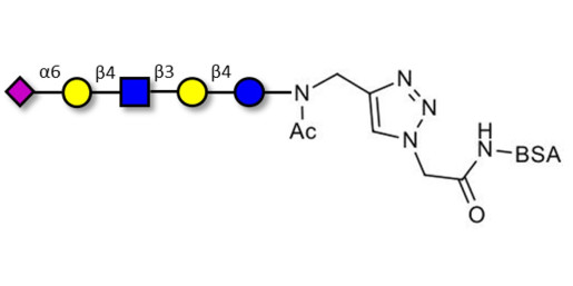 LS-Tetrasaccharide c (LSTc) grafted on BSA - Sialyl-lacto-N-neotetraose c ; SLNnT-c