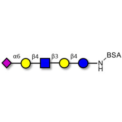 LS-Tetrasaccharide c (LSTc) grafted on BSA (Linker-BSA B)