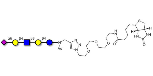 LS-Tetrasaccharide c (LSTc) linked to biotin (Linker-BT A) - Sialyl-lacto-N-neotetraose c ; SLNnT-c