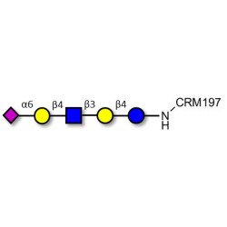 LS-Tetrasaccharide c (LSTc) grafted on CRM197