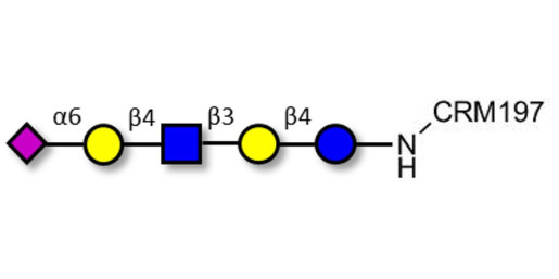 LS-Tetrasaccharide c (LSTc) grafted on CRM197 - Sialyl-lacto-N-neotetraose c ; SLNnT-c