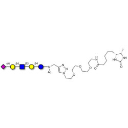LS-Tetrasaccharide c (LSTc) linked to desthiobiotin (Linker-DBT-A)