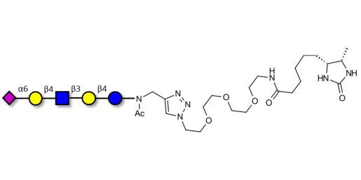 LS-Tetrasaccharide c (LSTc) linked to desthiobiotin (Linker-DBT-A) - Sialyl-lacto-N-neotetraose c ; SLNnT-c