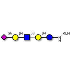 LS-Tetrasaccharide c (LSTc) grafted on KLH