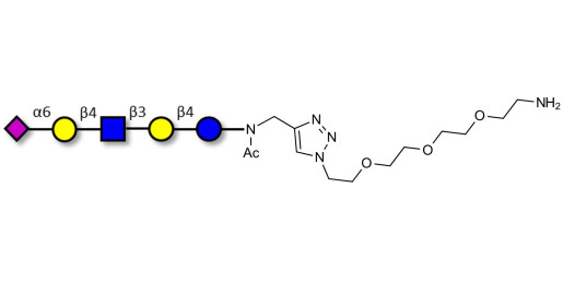 LS-Tetrasaccharide c (LSTc) with free terminal amine (Linker-NH2 B) - Sialyl-lacto-N-neotetraose c ; SLNnT-c