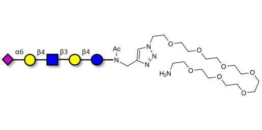 LS-Tetrasaccharide c (LSTc) with free terminal amine (Linker-NH2 C) - Sialyl-lacto-N-neotetraose c ; SLNnT-c