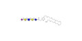 LS-Tetrasaccharide c (LSTc) with free terminal amine (Linker-NH2 C) - Sialyl-lacto-N-neotetraose c ; SLNnT-c